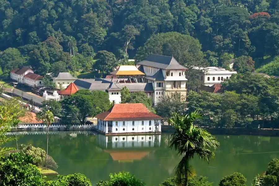 nature view at kandy in sri lanka experiential journey