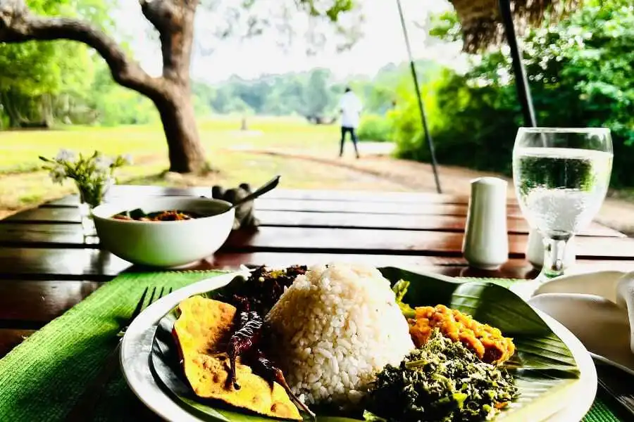 a meal at wilpattu in sri lanka experiential journey