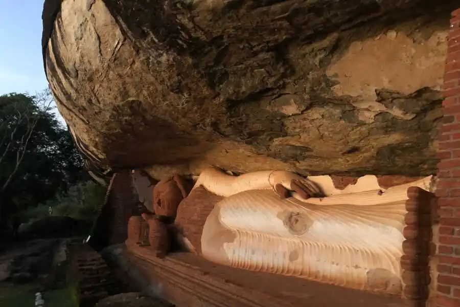 buddha statue at pidurangala sri lanka experiential journey