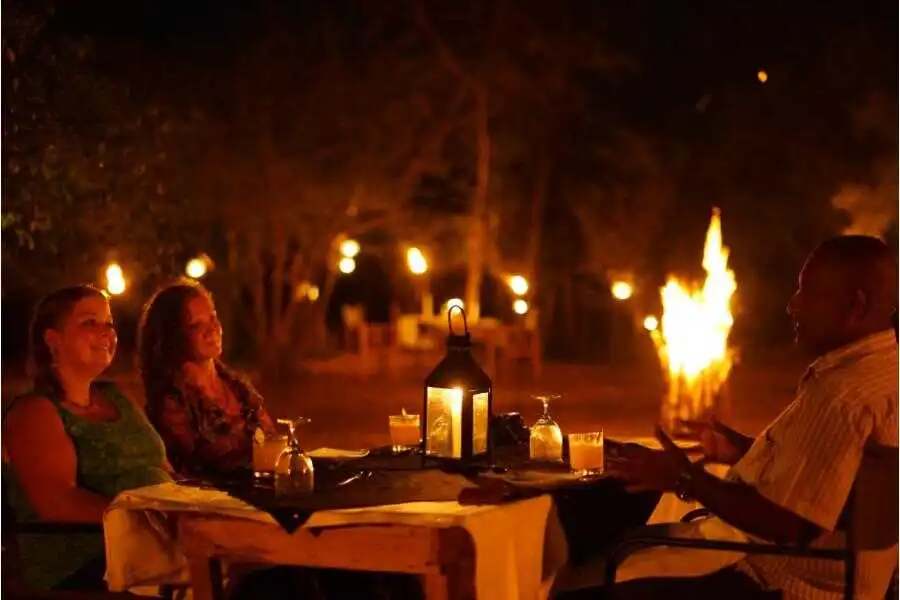 dinner experience under the stars at udawalawe sri lanka experiential journey