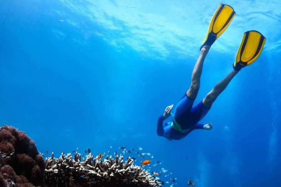 diving experience in sri lanka experiential journey