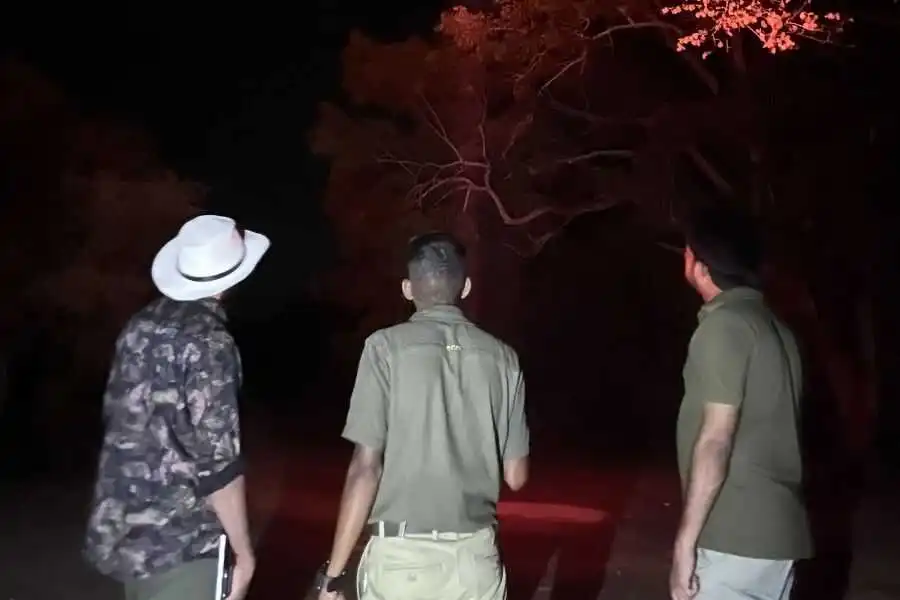 night walk at wilpattu in sri lanka experiential journey