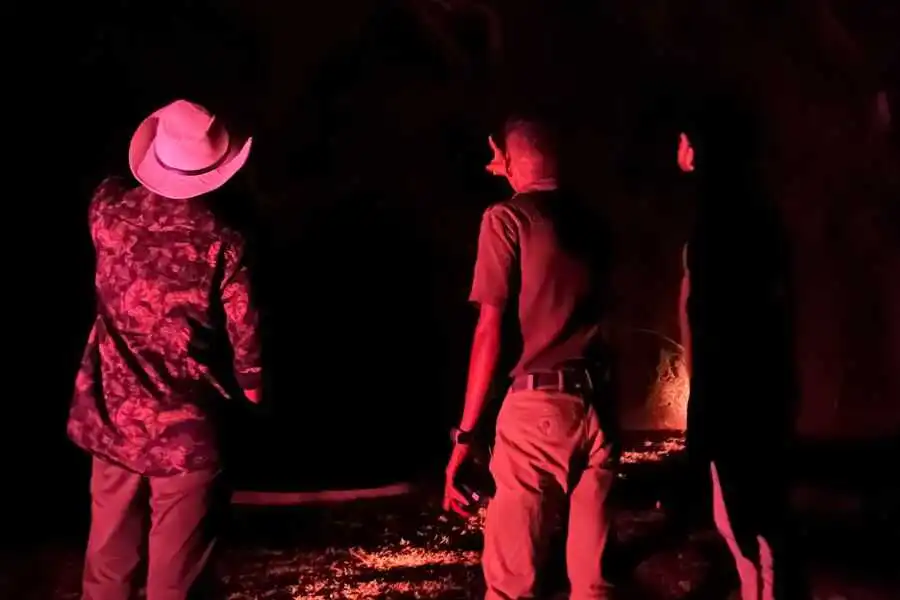 night walk at yala in sri lanka experiential journey