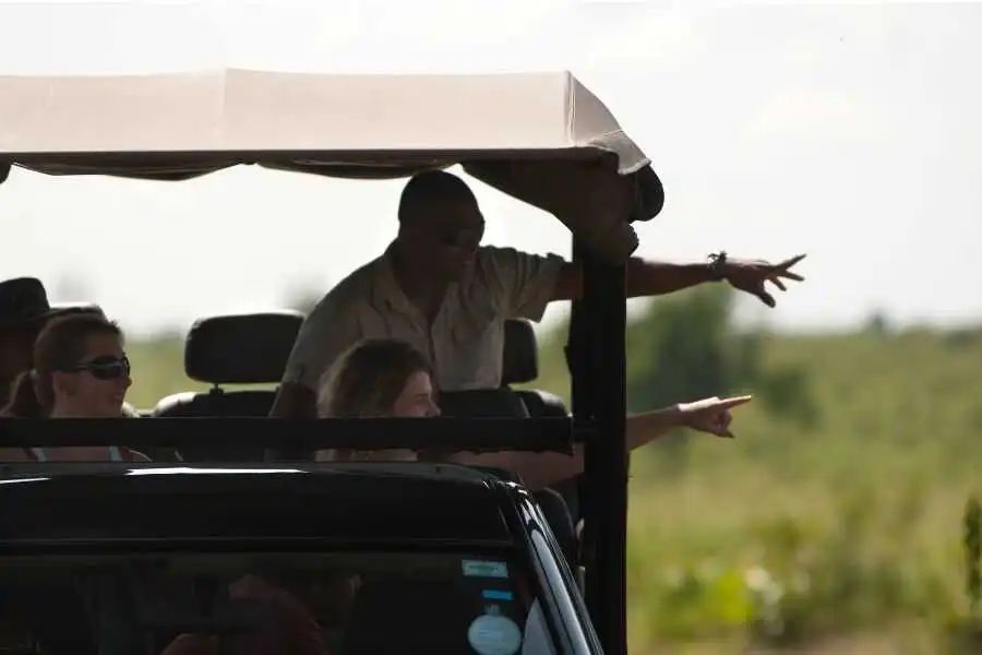 safari experience at mahoora yala in sri lanka experiential journey