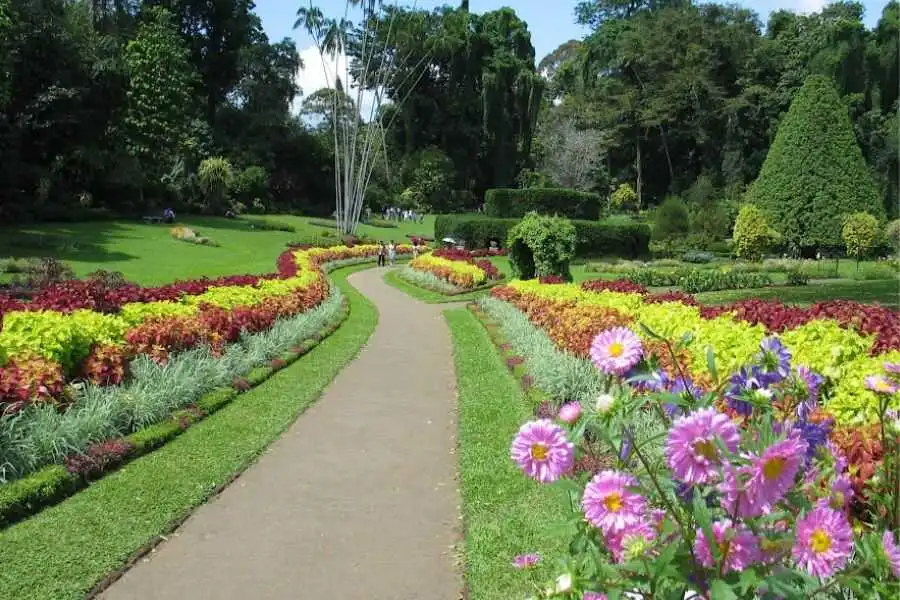 a beautiful scenary at botanical gardens in sri lanka experiential journey