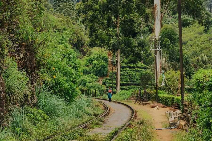 a railway sri lanka experiential journey