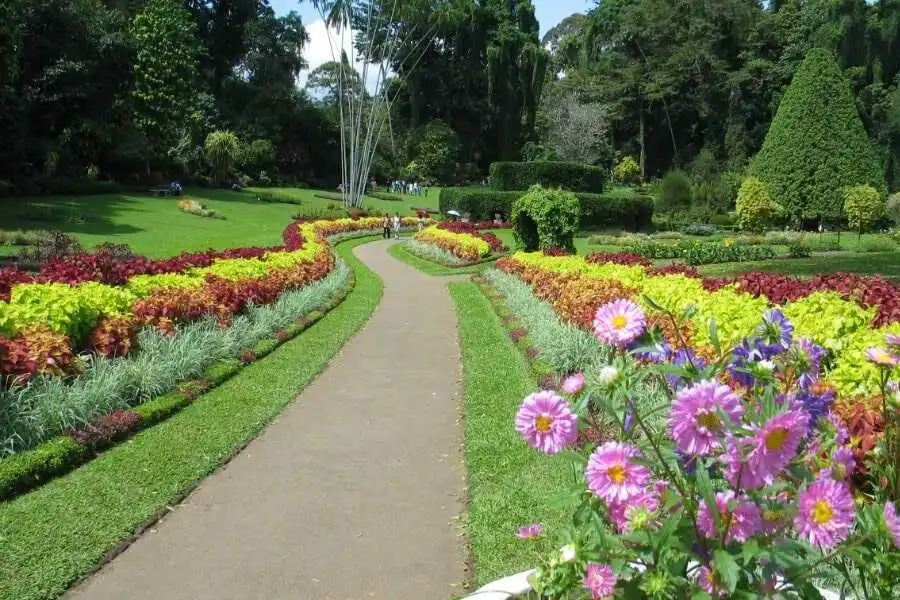 beautiful landscape view at peradeniya botanical garden sri lanka experiential journey