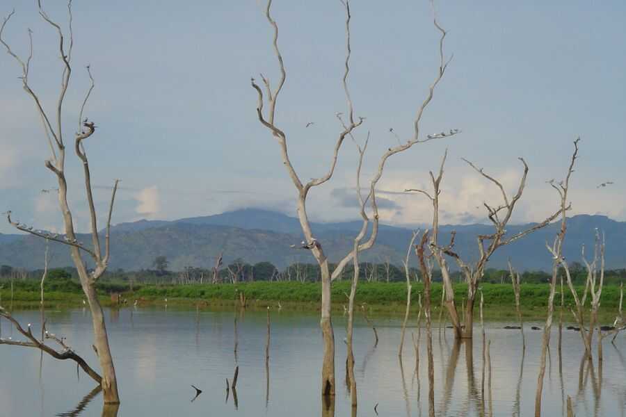 beautiful scenary experience at udwalawe sri lanka experiential journey