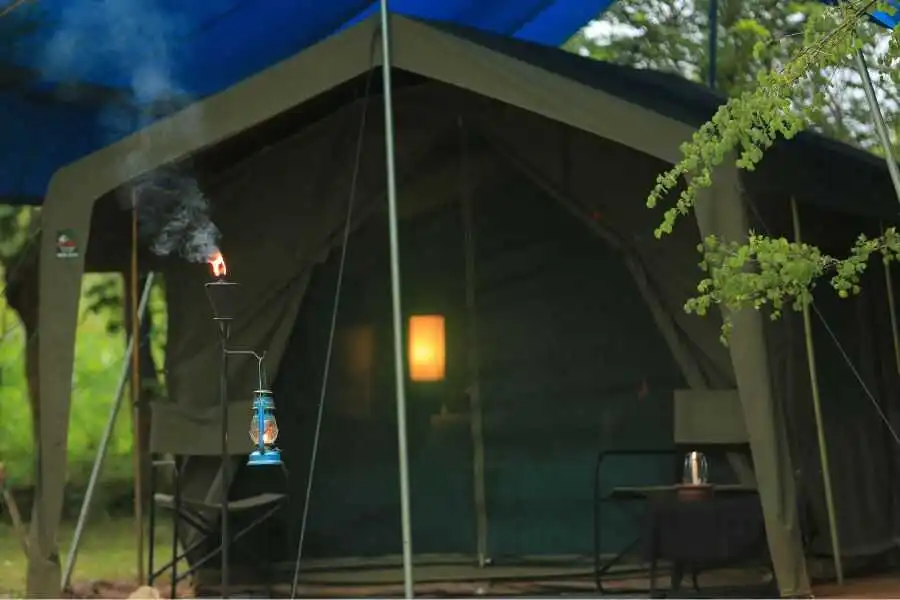 big game tent wilpattu in sri lanka experiential journey