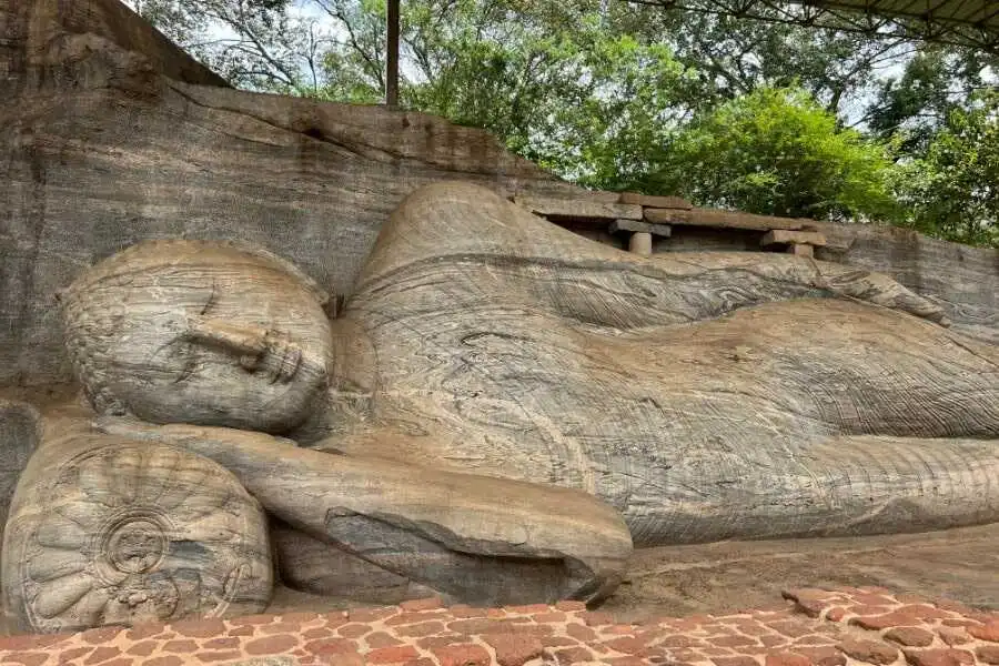 buddha statue at polonnaruwa sri lanka experiential journey