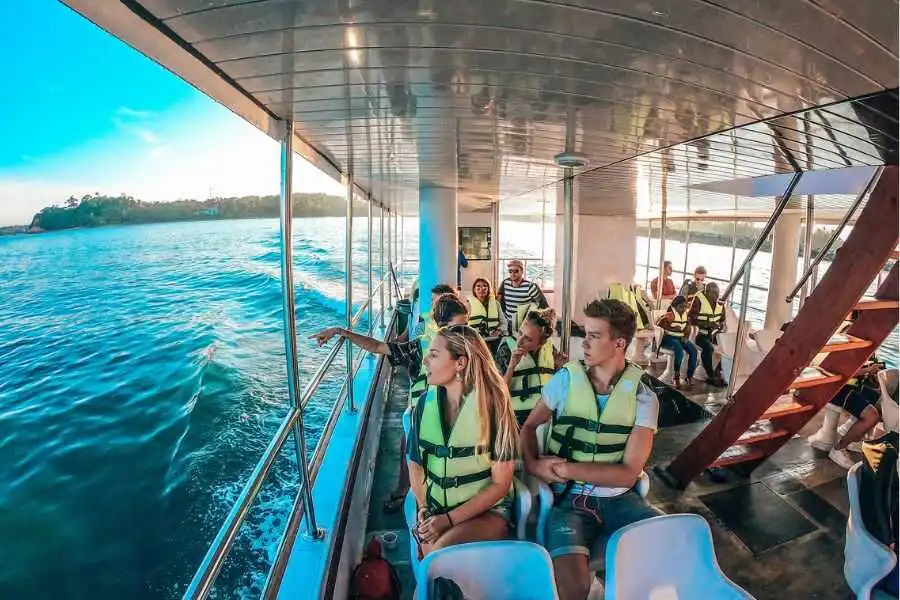 experiencing whale watching sri lanka experiential journey