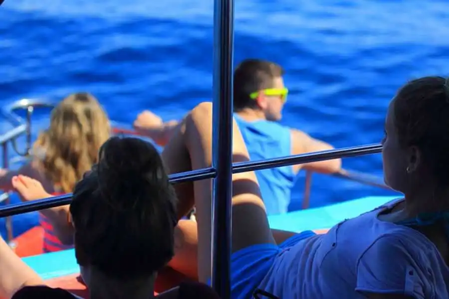 tourists experiencing whale watching at trincomalee in sri lanka experiential journey