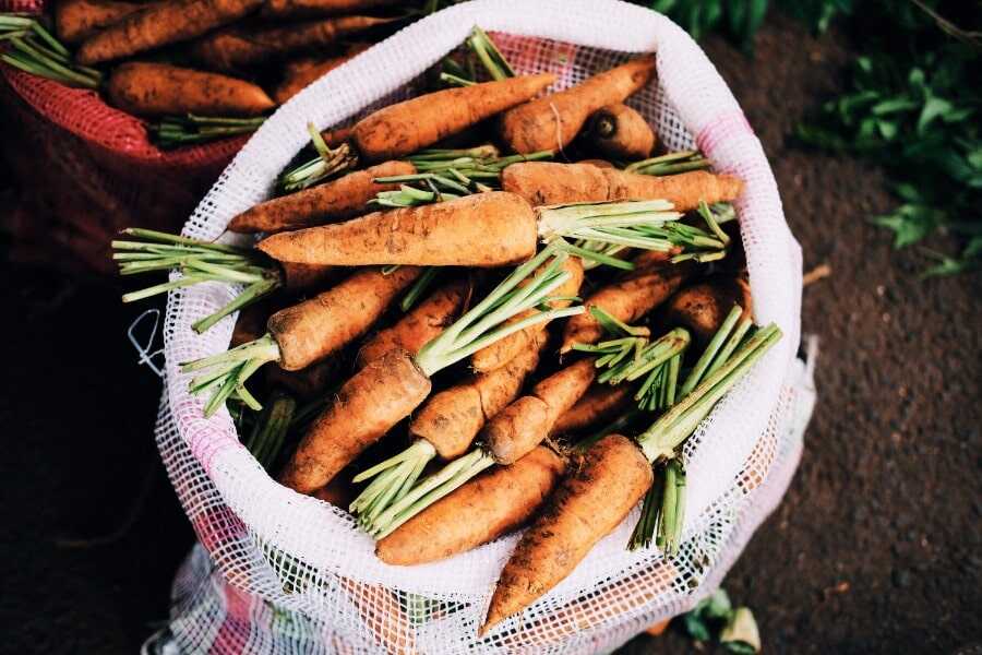 vegetable at dambulla vegetable and fruit market sri lanka experiential journey