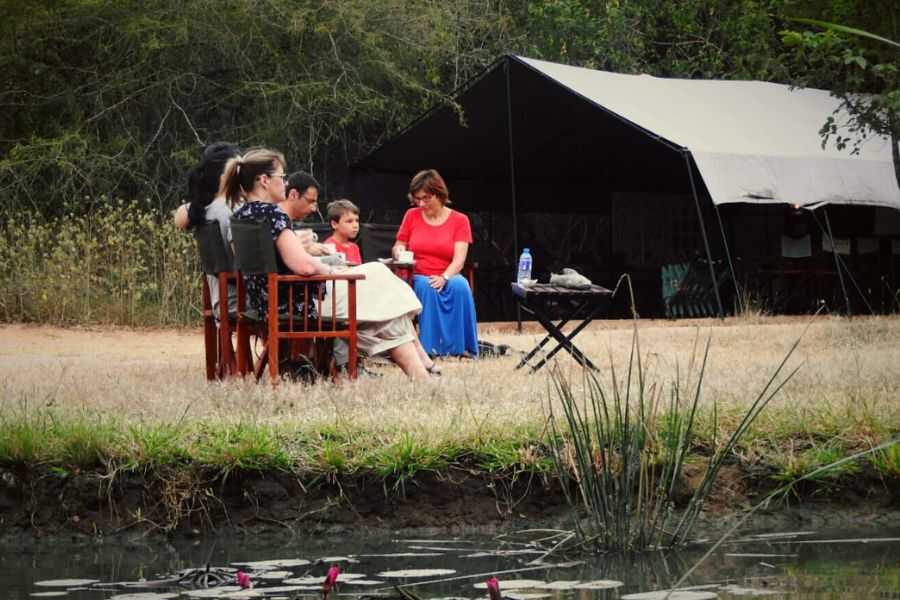 big game wilpattu camps experiential journey