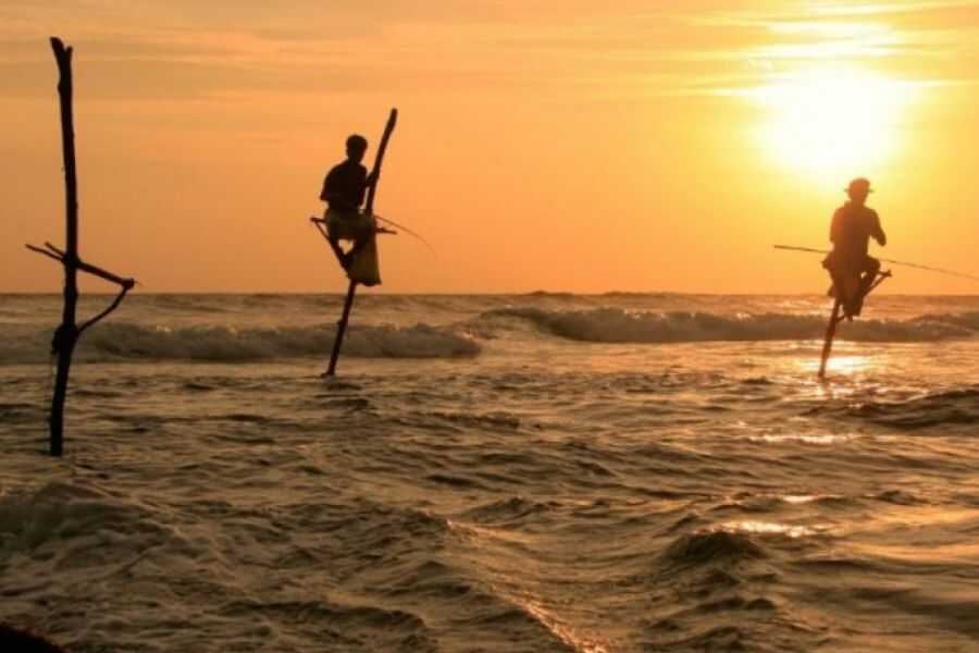 fishing at unawatuna beach side sri lanka experiential journey