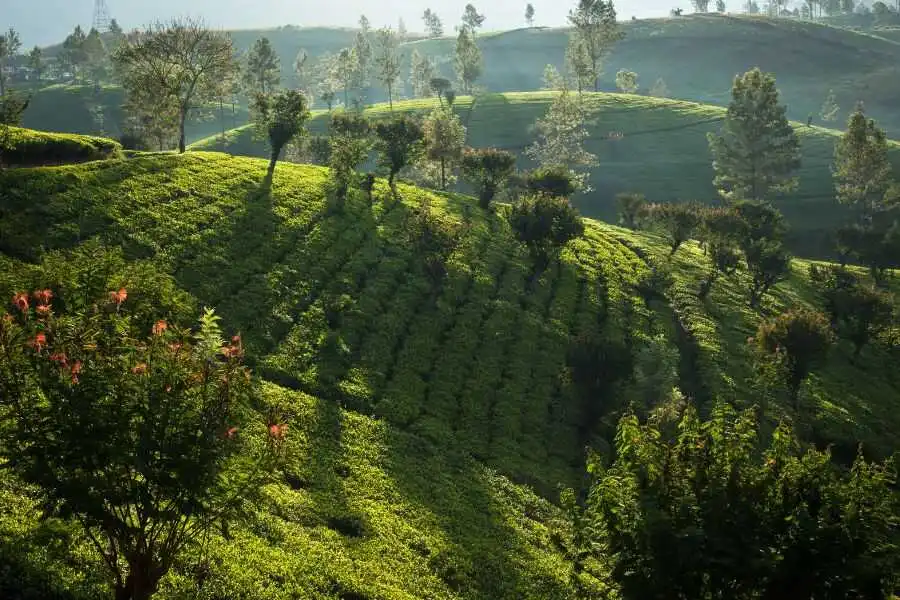 nature scenary in sri lanka experiential journey