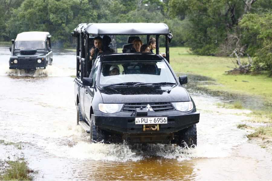 two safari jeeps at wwilpattu sri lanka experiential journey
