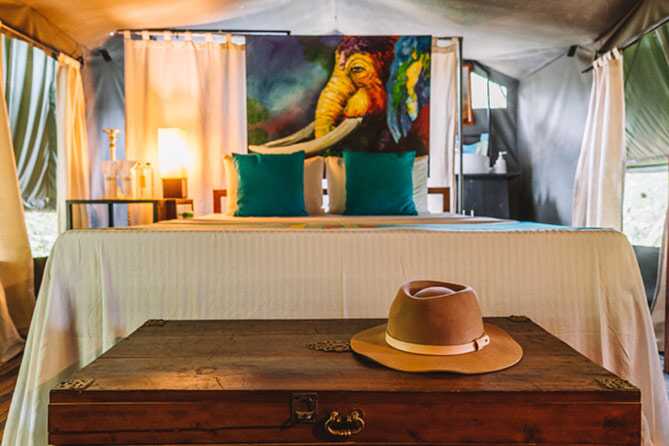 glamping in style mahoora tented safari camp wilpattu national park