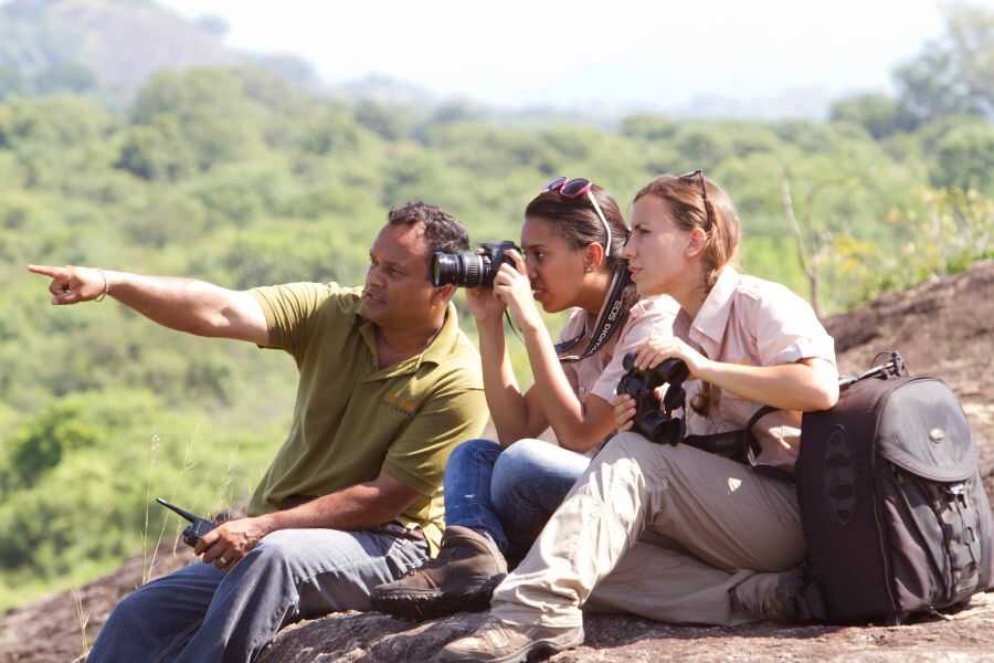 Udawalawe-Celibration-In-Wild-1