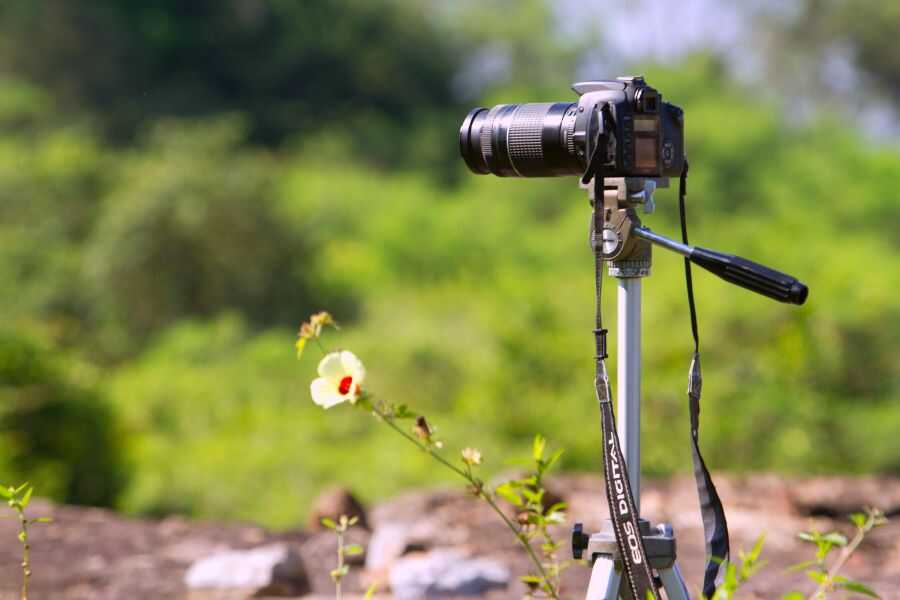 Udawlawe-Photography-Tour-6