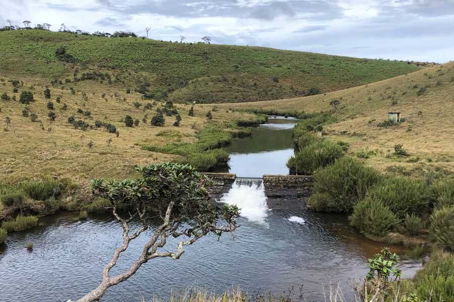 a beautiful view at hortan plains sri lanka experiential journey