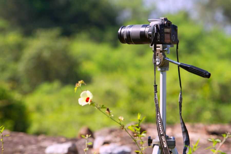 a camera at udawalwe in sri lanka experiential journey