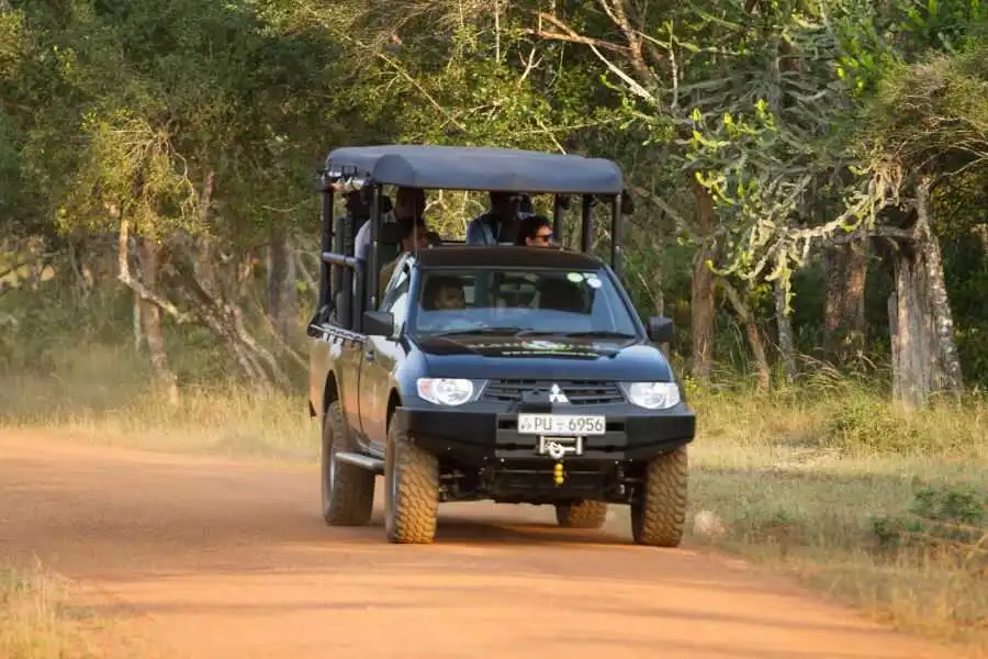 a safari jeep at mahoora wilpattu in sri lanka experiential journey