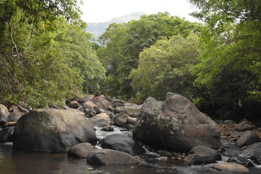 belihuloya sri lanka experiential journey