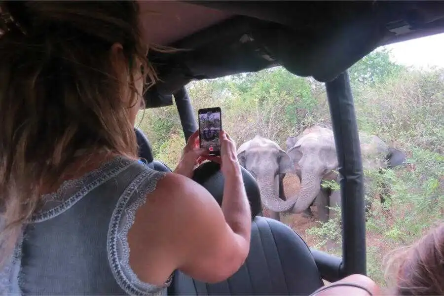 capturing images during the safari at udawalawe sri lanka experiential journey