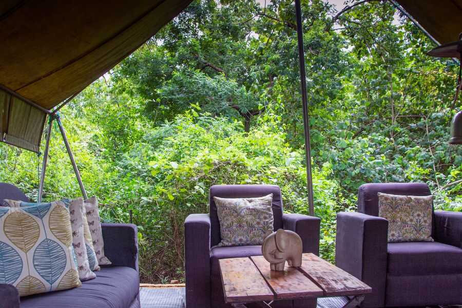 chair set at mahoora yala cmpsites in sri lanka experiential journey