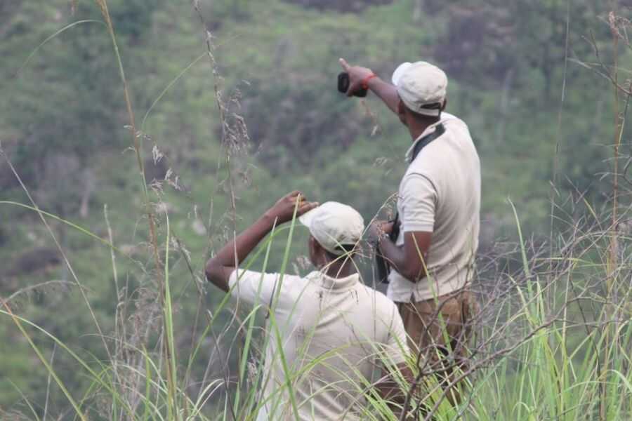 evening walk with our naturalist at ahaspokuna in sri lanka experiential journey