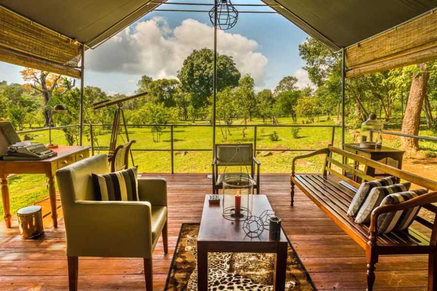 indoor look at ahaspokuna bush walk campsites in sri lanka experiential journey
