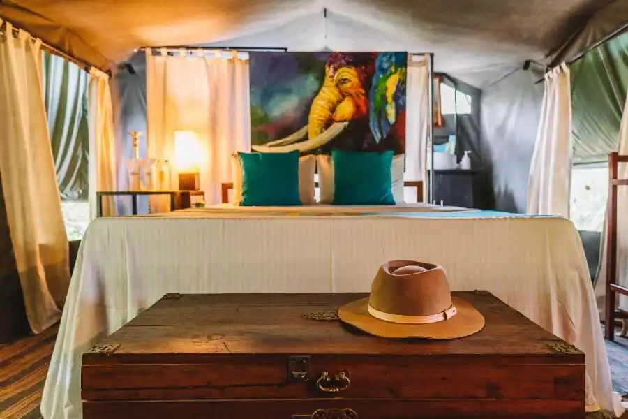 mahoora room arrangement at wilpattu in sri lanka experiential journey