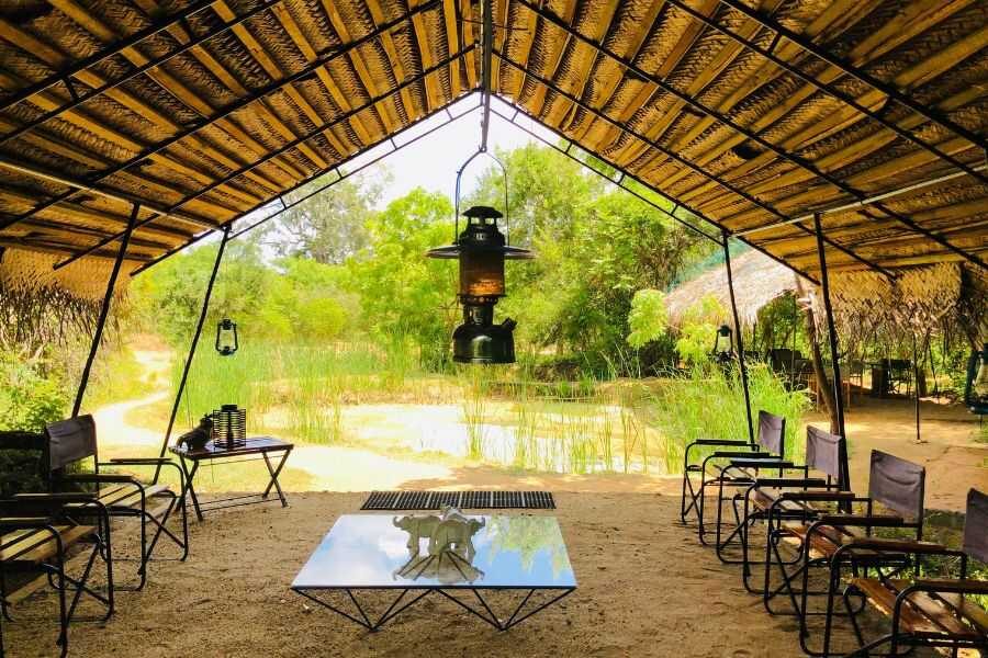 mahoora yala tent in sri lanka experiential journey