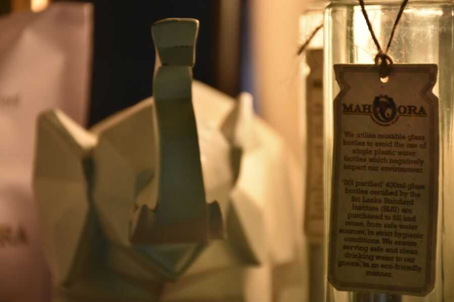 mahoora campsites at wilpattu in sri lanka experiential journey