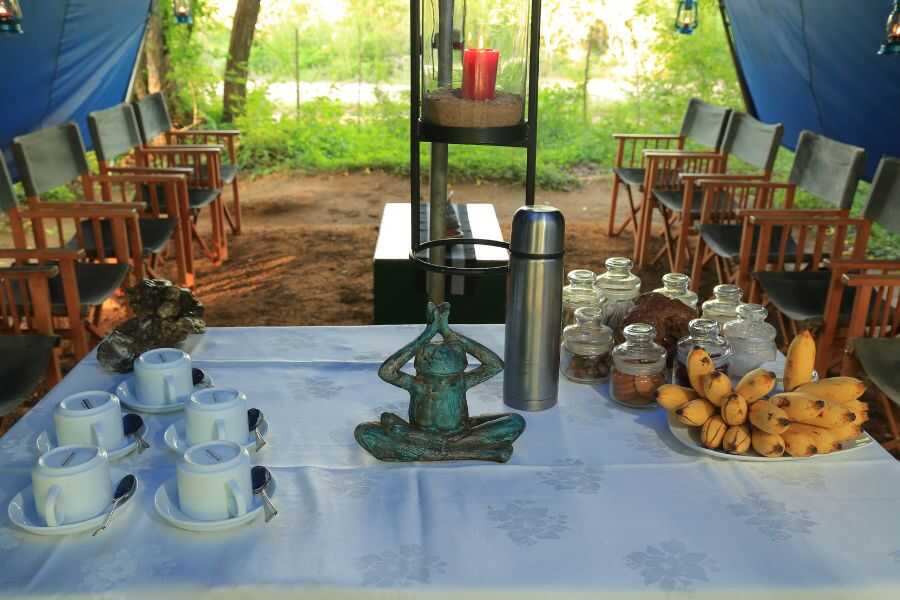 table arrangement for tea time at yala in sri lanka experiential journey