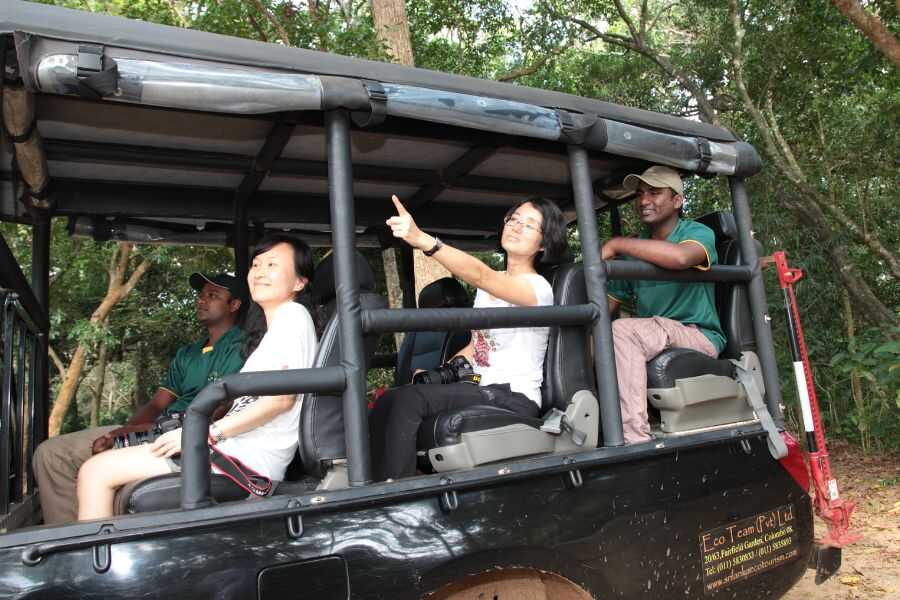 tourist experience at mahoora wilpattu safari in sri lanka experiential journey