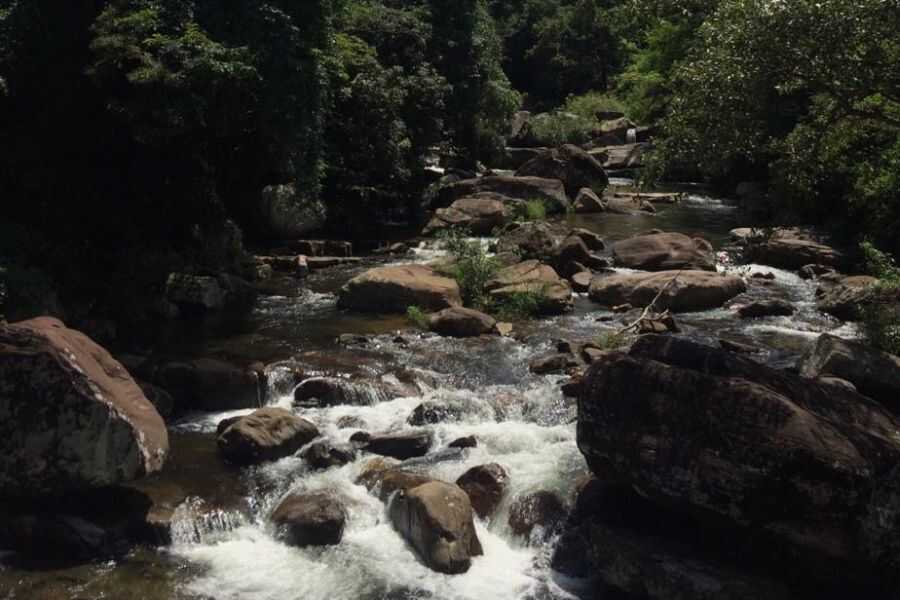 a waterfall at knuckles sri lanka experiential journey