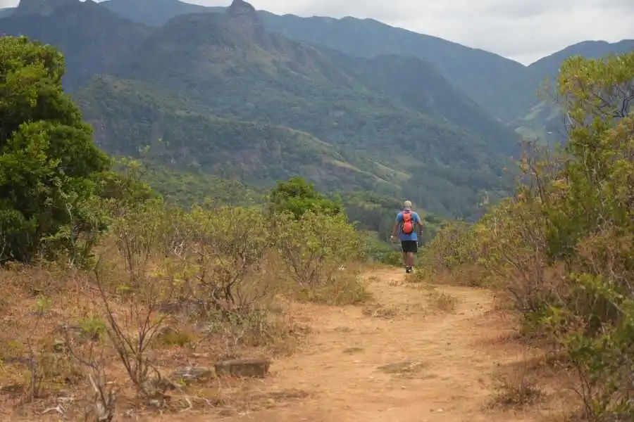 elephant head trail at knuckles sri lanka experiential journey