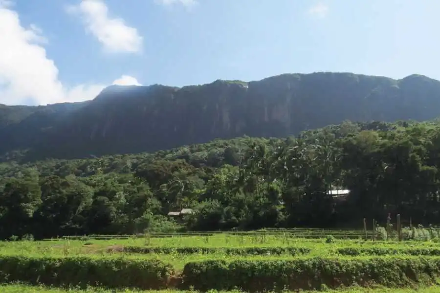mountain range at knuckles sri lanka experiential journey