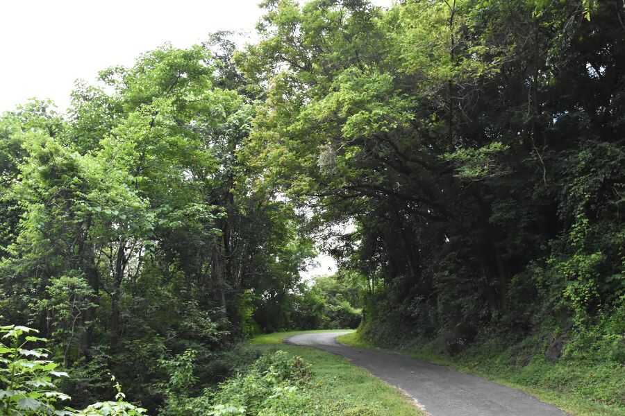 nature view at knuckles sri lanka experiential journey