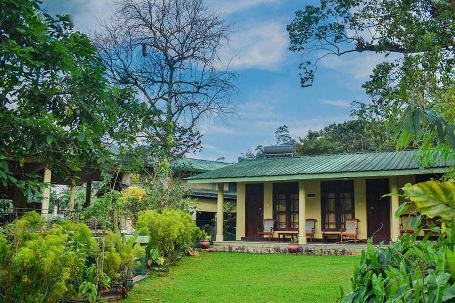 sri-lanka-birding-tour-10-days-private-tour14