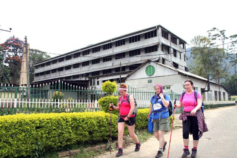 three women getting experience at bogawanthalawa sri lanka experiential journey