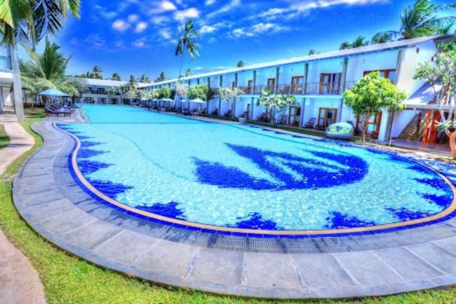 carolina beach hotel at chilaw in sri lanka experiential journey