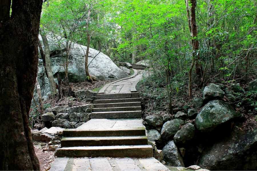 nature at ritigala in sri lanka experiential journey