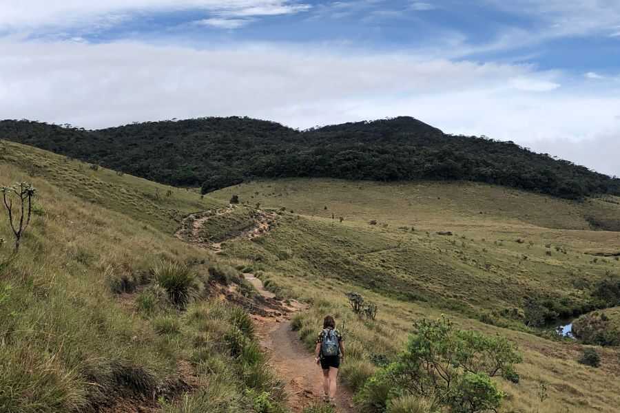 hortan plains vies sri lanka experiential journey