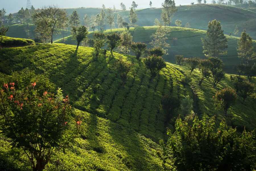 nature scenary in sri lanka experiential journey