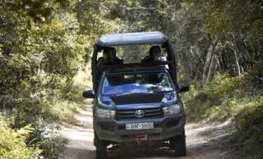 No-Frills Safari Deal – Mahoora Tented Safari Camp – Wilpattu National Park  