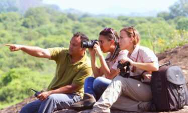 No-Frills Safari Deal – Mahoora Tented Safari Camp – Udawalawe National Park  
