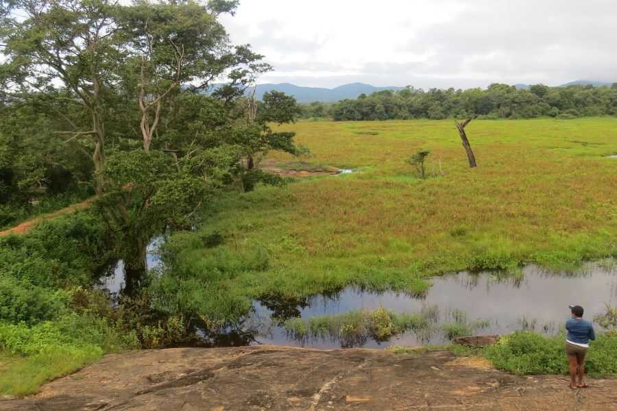 a man experiencing nature at wasgamuwa in sri lanka experietial journey